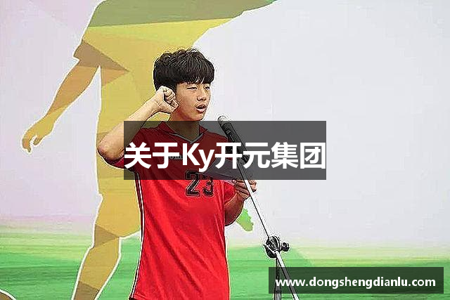 关于Ky开元集团